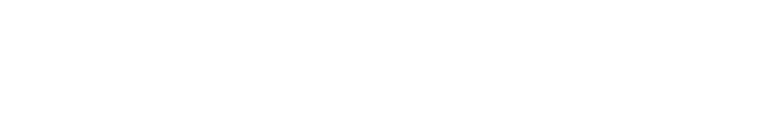 Ferntech logo in white
